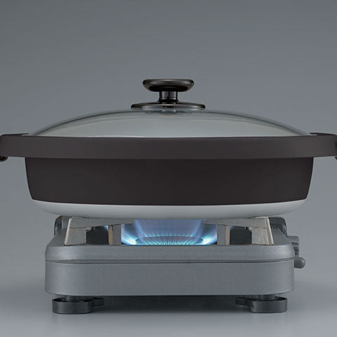 Gourmet d'Expert Electric Skillet EP-RAC50